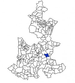 Palmar de Bravo